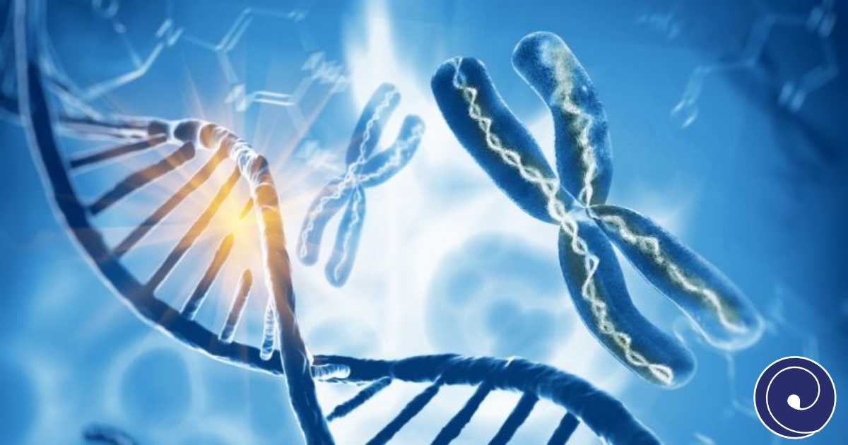 Delecija Y hromozoma i muška neplodnost